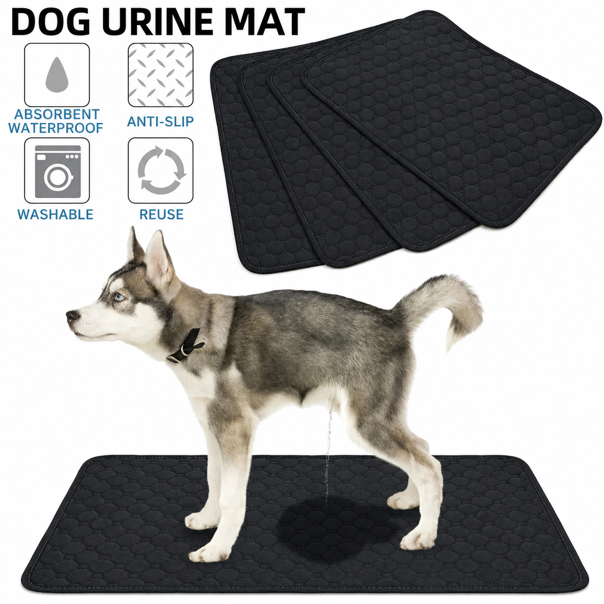DrySafe Reusable Pup Pad 2.0