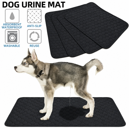 DrySafe Reusable Pup Pad 2.0